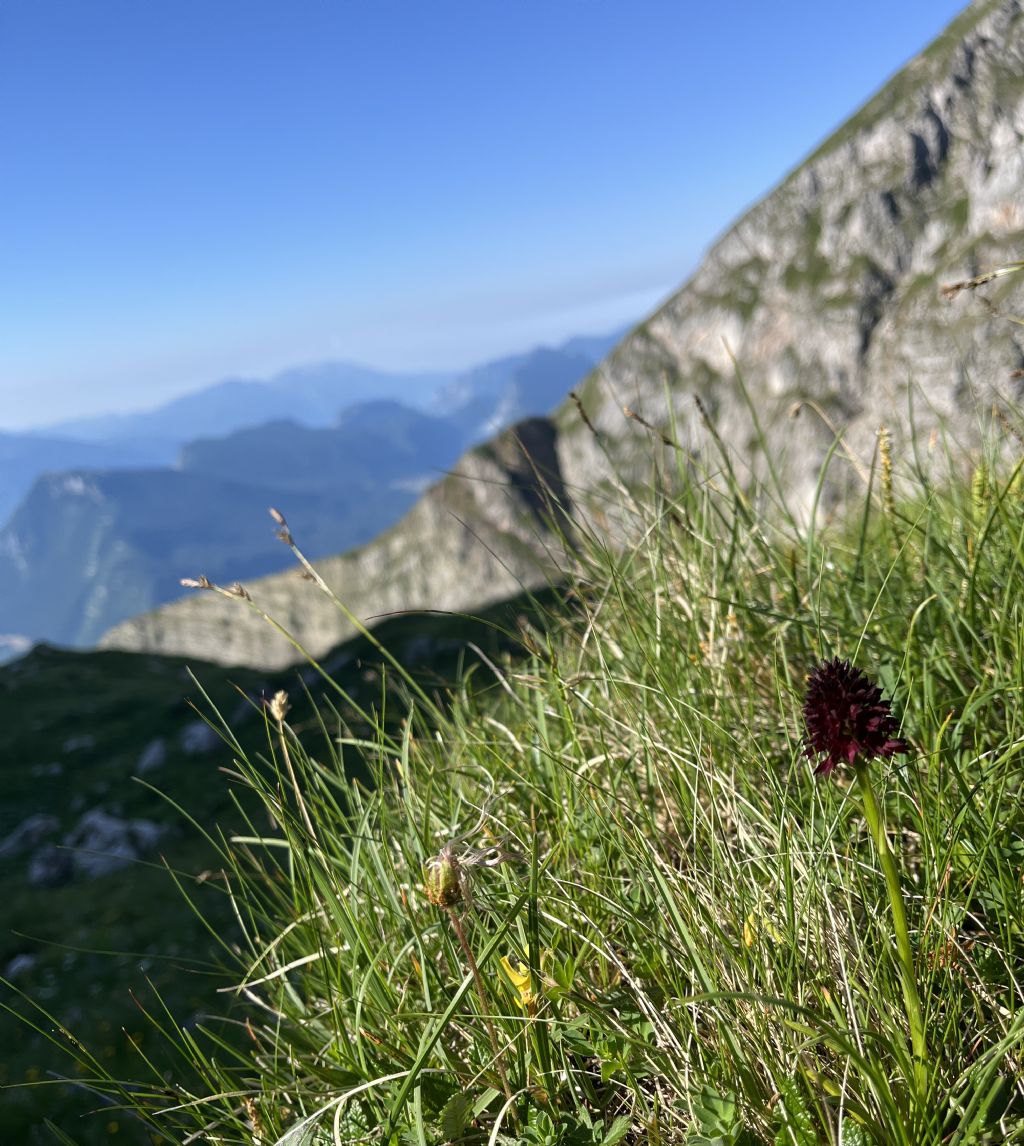 Dion - Soran 2399 m......Brenta